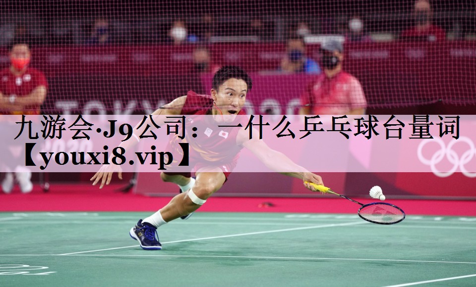 一什么乒乓球台量词