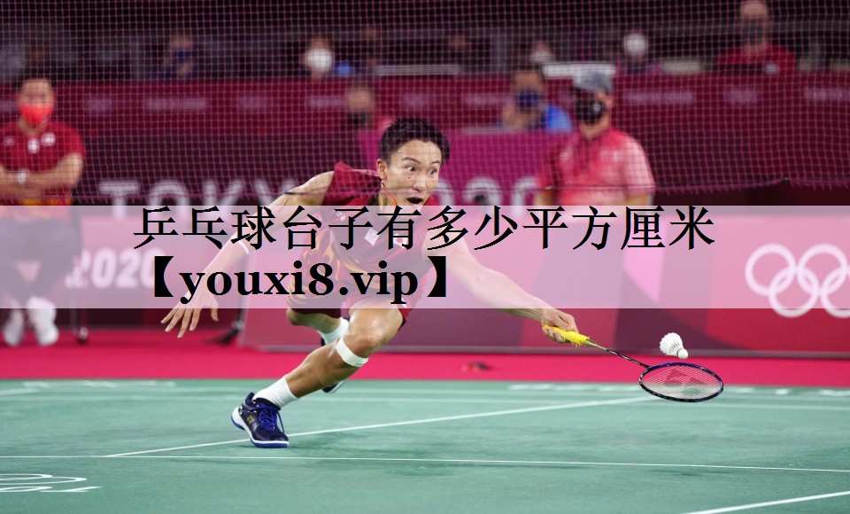 乒乓球台子有多少平方厘米