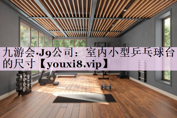 室内小型乒乓球台的尺寸