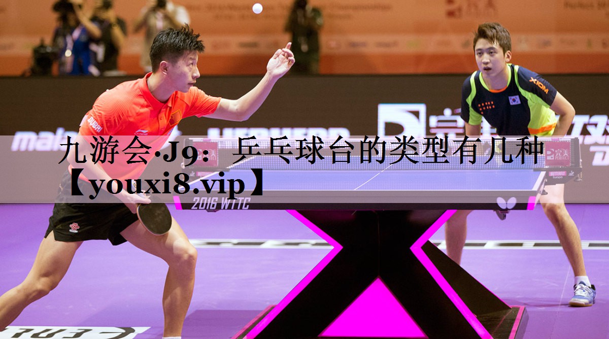 乒乓球台的类型有几种